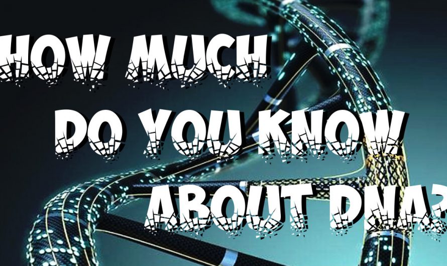 DNA Quiz
