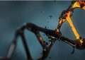 dna-helix