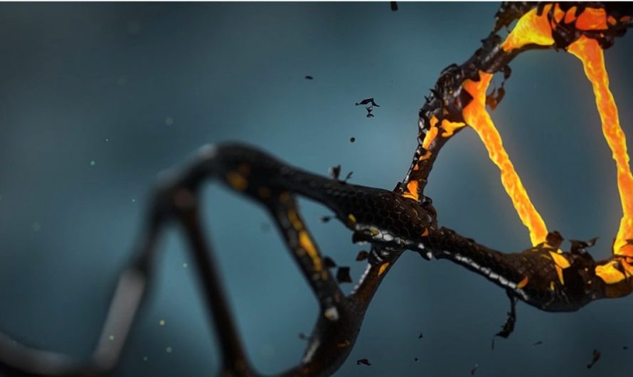 The Amazing DNA