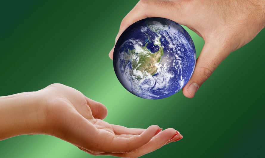 The (Ecological) Footprint You Leave Behind