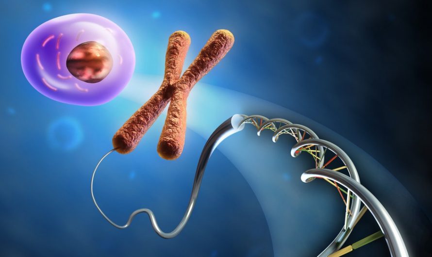 The Amazing DNA (part 2) | Biological Approach
