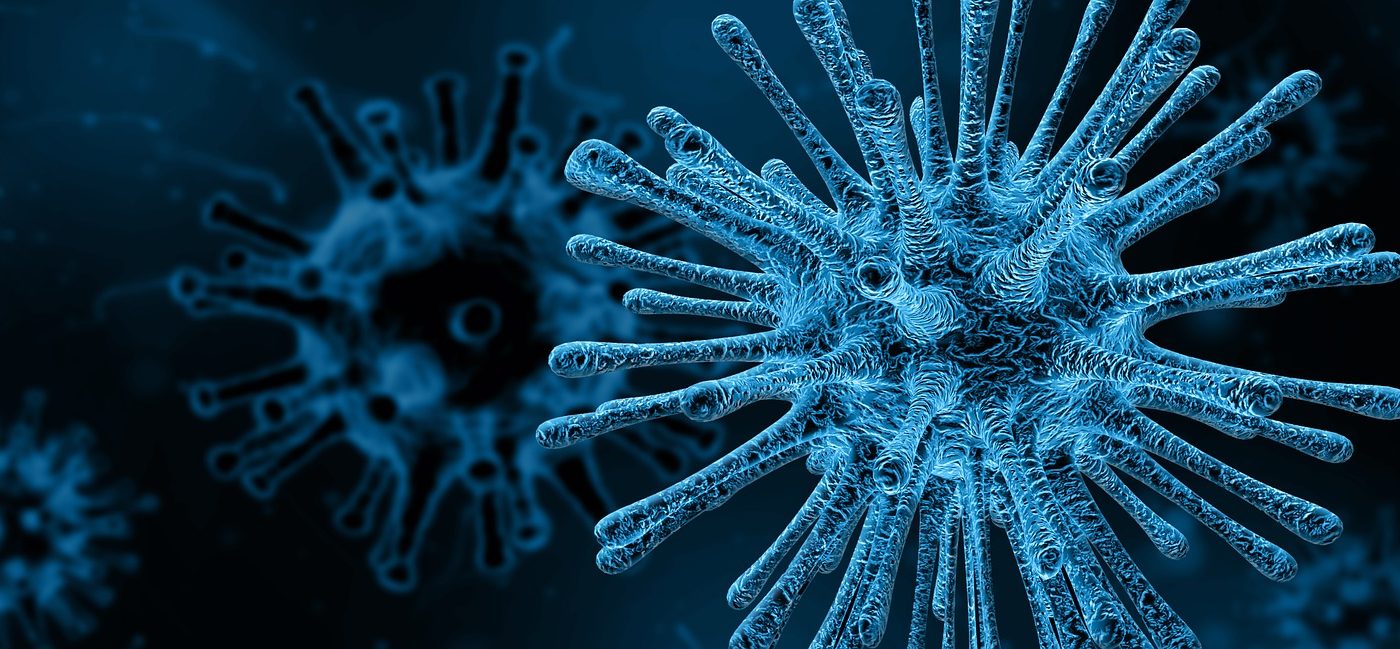 Viruses in the body have a complex interplay