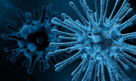 Viruses in the body have a complex interplay