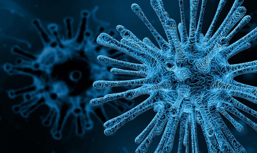 You’ve Heard about the Importance of the Microbiome – What about the Virome?