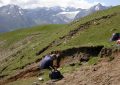 Field-Sampling
