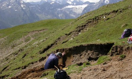 Field-Sampling