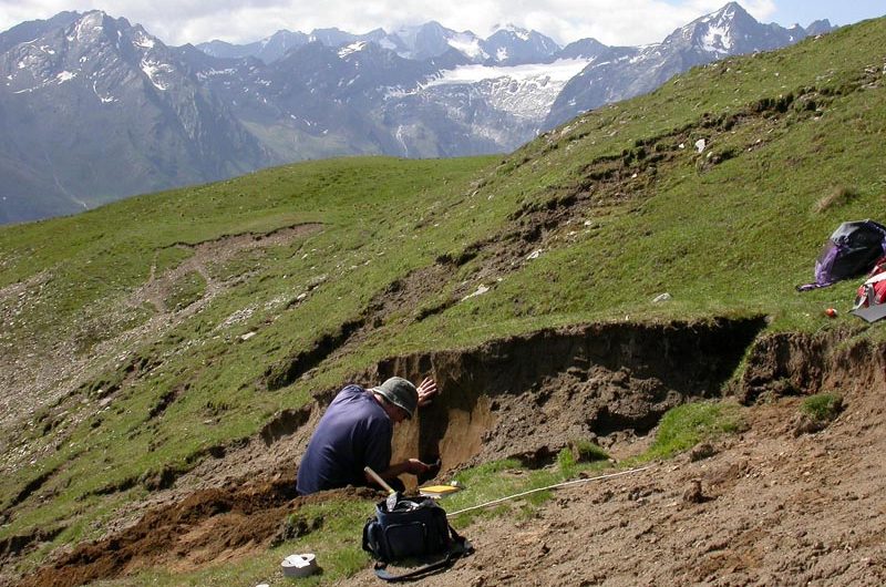 Portable Laboratory for On-Field Analysis