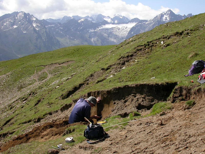 Field-Sampling