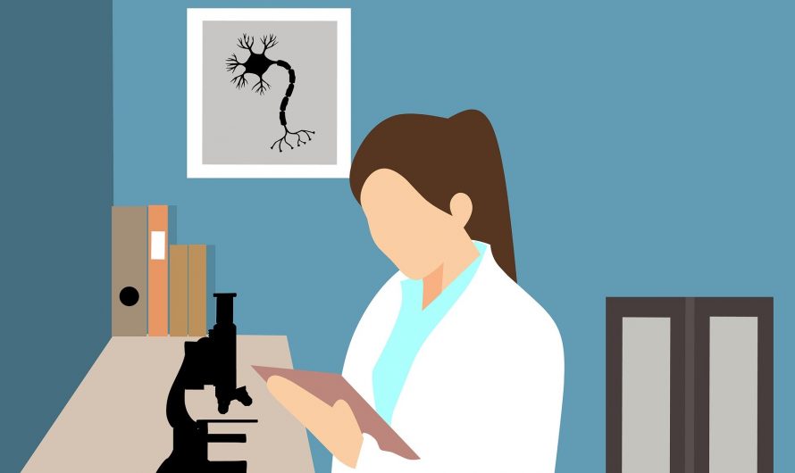 The International Day of Women and Girls in STEM